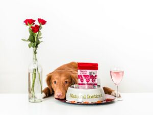 Valentine's Day Dog