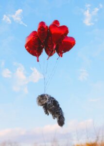 Cat Love balloons