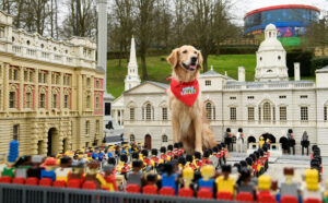 dog legoland