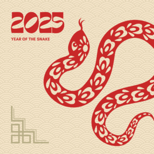 year of the snake 2025