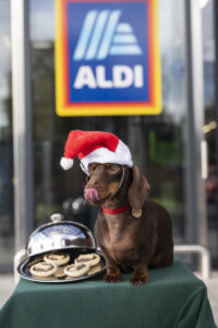 A Dachshund dog licking his lips wearing a Christmas hat for Santa Paws