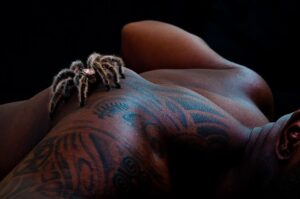 A tarantula crawling across a mans back
