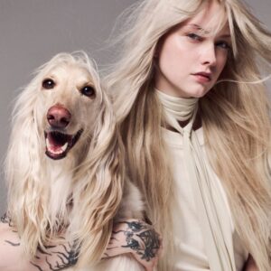 Twinning model and Afghan Hound duo