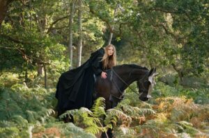Meet Teake, one of the talented horses bringing creative visions to life with Urban Paws Agency.