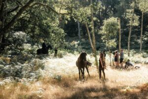 Professional equestrian talent and experienced handling help bring ambitious creative productions to life.